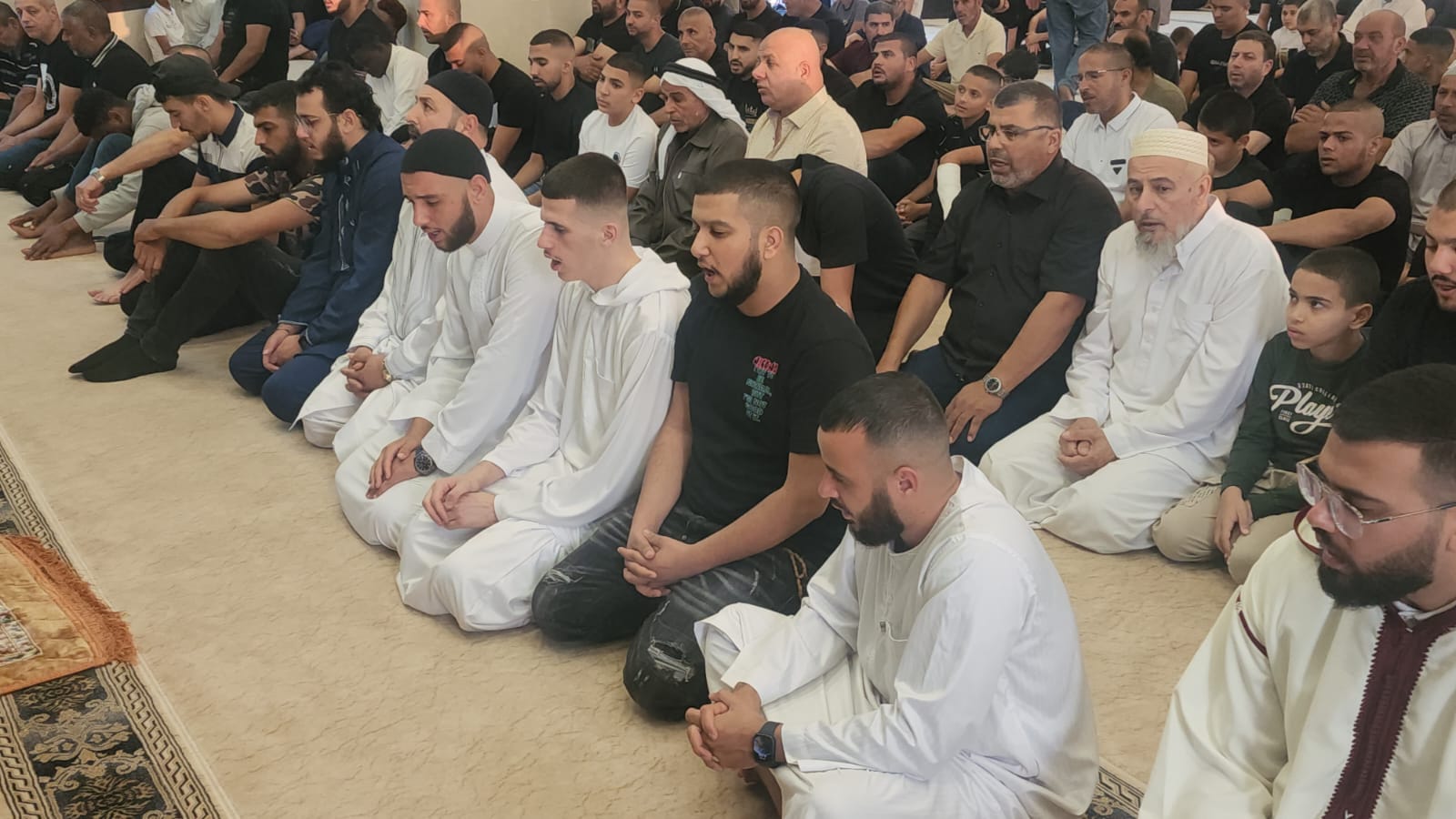 WhatsApp Image 2023-06-28 at 10.54.48 AM.jpeg